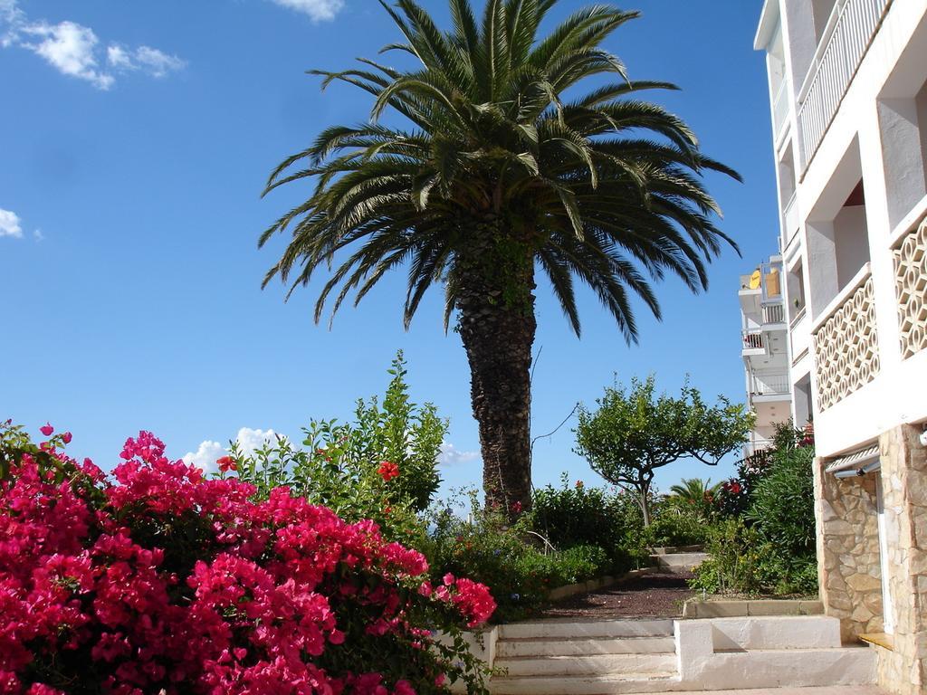 Apartament Belvedere روساس الغرفة الصورة